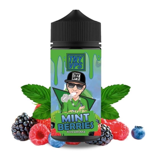 TNYVPS - Mint Berries Aroma 10ml Longfill