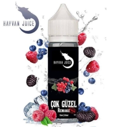 Hayvan Juice - Cok G&uuml;zel Remake Longfill 10ml
