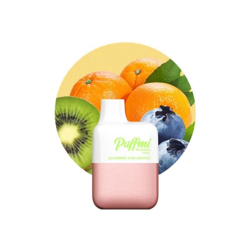 Puffmi MeshBox Mini Einweg E-Zigarette Blueberry Kiwi Orange