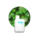 Puffmi MeshBox Mini Einweg E-Zigarette Mint Ice