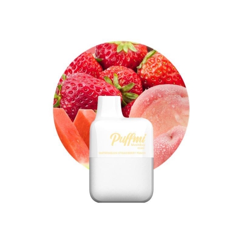 Puffmi MeshBox Mini Einweg E-Zigarette Watermelon Strawberry Peach