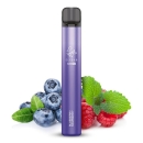 Elfbar 600 V2 Einweg Vape 10er Pack Blueberry Raspberry