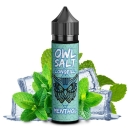 OWL Salt Longfill 10 ml in 60 ml Menthol