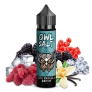 OWL Salt Longfill 10 ml in 60 ml Iced Vanilla Berry