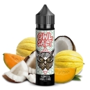 OWL Salt Longfill 10 ml in 60 ml Kokos Melone