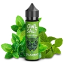 OWL Salt Longfill 10 ml in 60 ml Spearmint