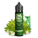OWL Salt Longfill 10 ml in 60 ml Waldmeister