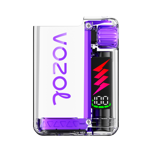 Vozol Vista Plug Basisgerät PINK PURPLE